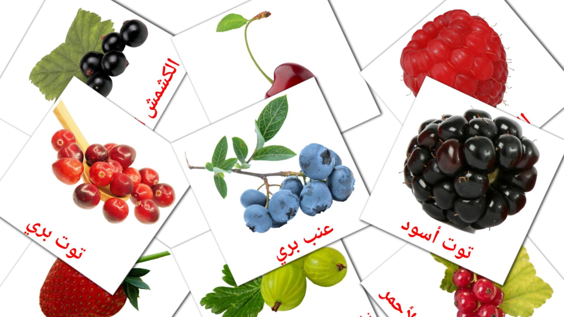 Frutti di bosco - Schede di vocabolario arabo