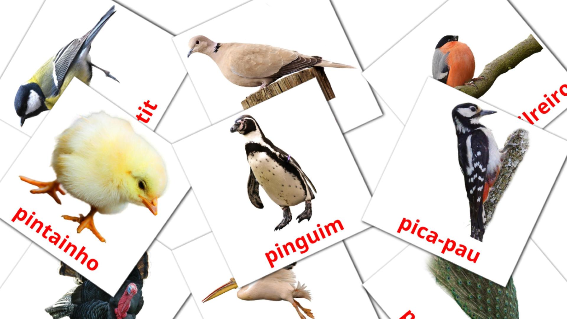 Pássaros Flashcards di vocabolario portoghese