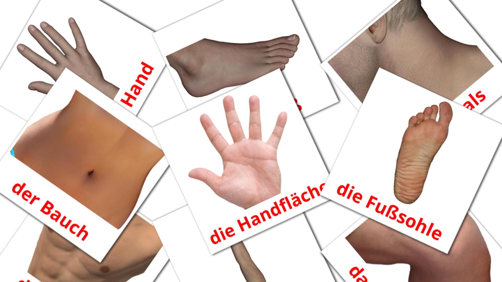 Partes del Cuerpo - tarjetas de vocabulario en alemán