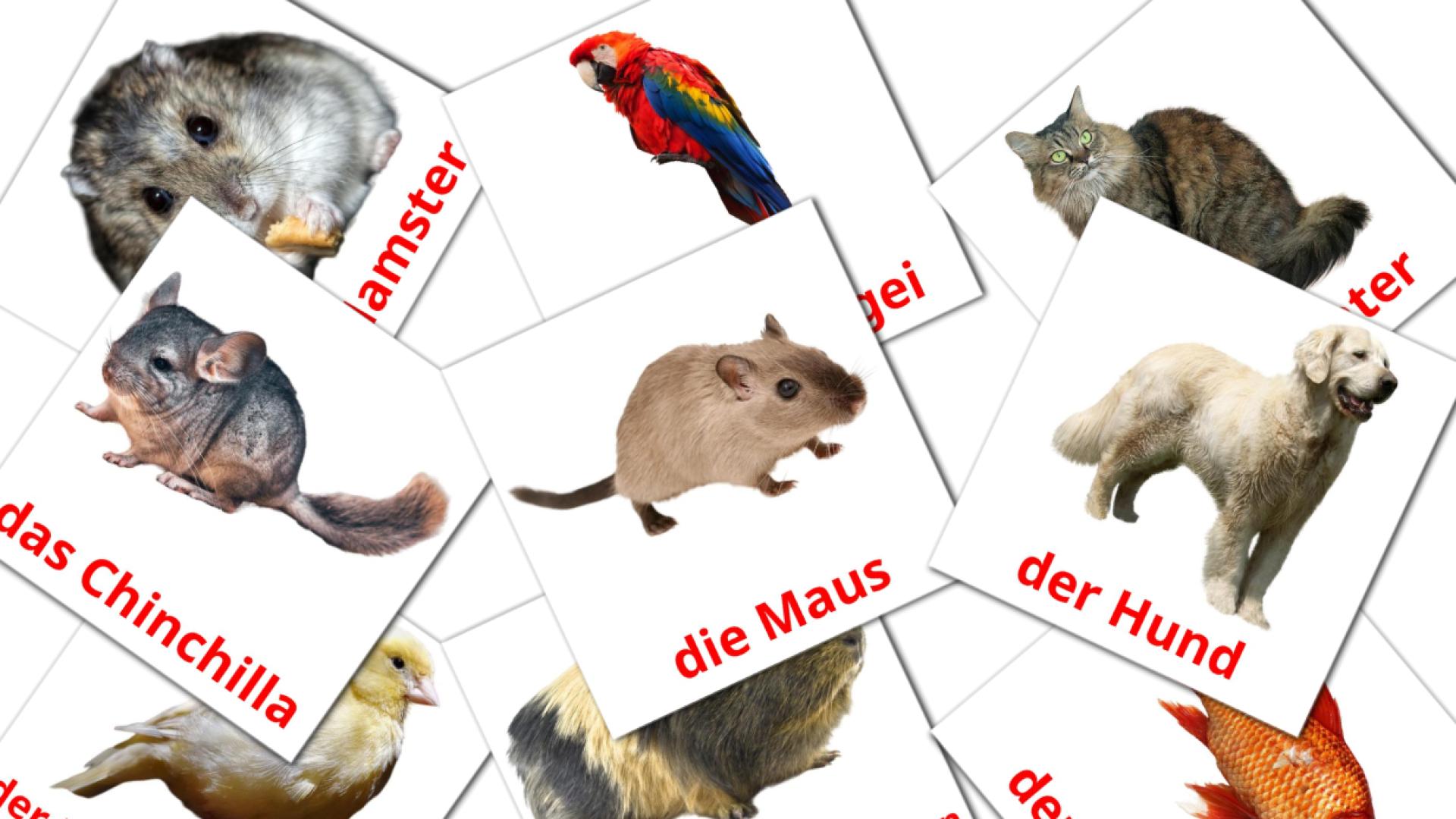 Les animaux Domestiques - allemande woordenschatkaarten