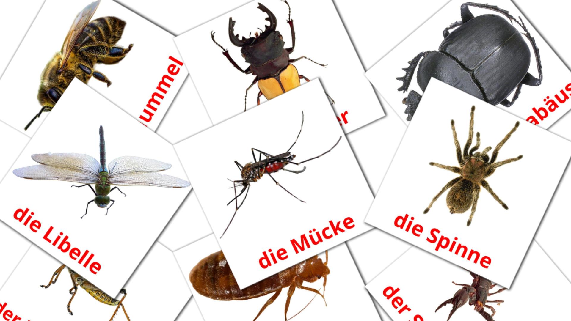 Insetos - Cartões de vocabulário alemão