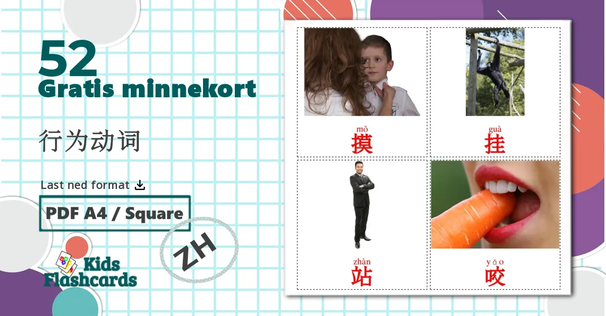 52 行为动词 bildekort
