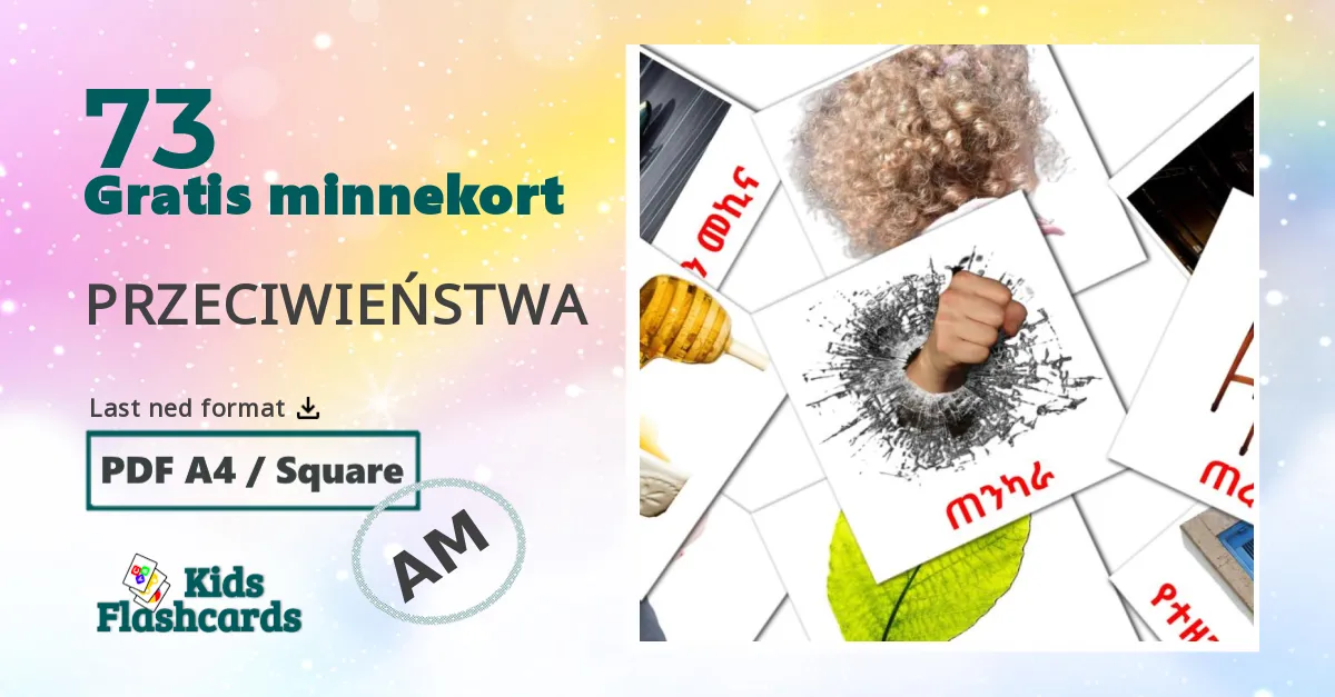 Adjektiver bildekort