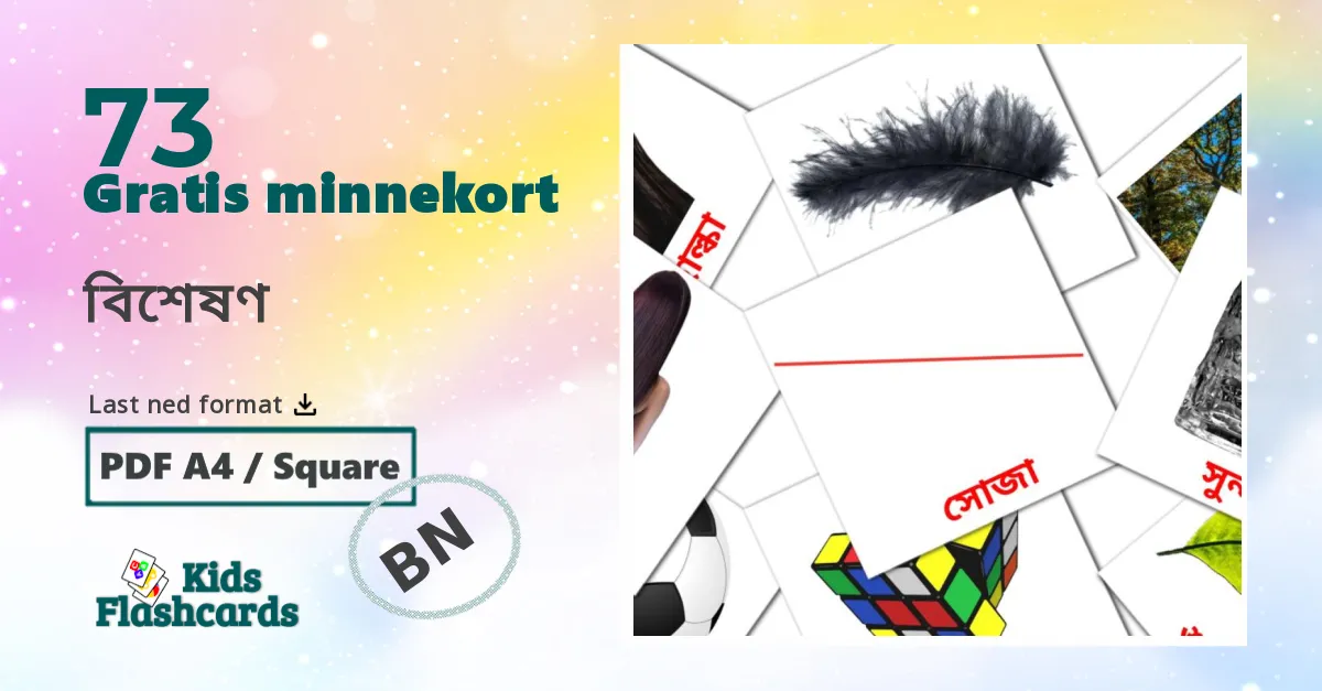 Adjektiver bildekort