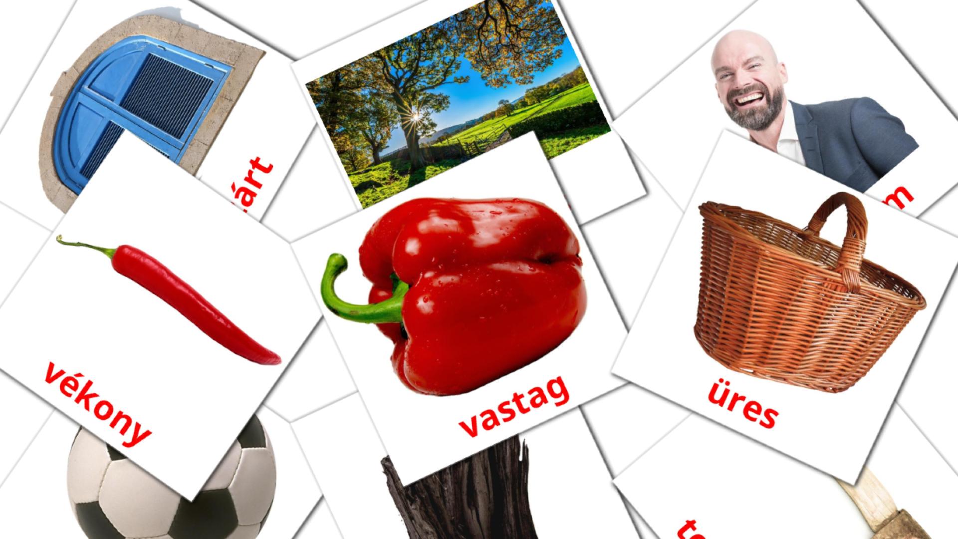 Melléknevek Flashcards di vocabolario ungherese