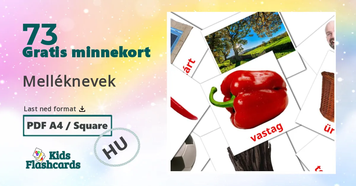 Adjektiver bildekort