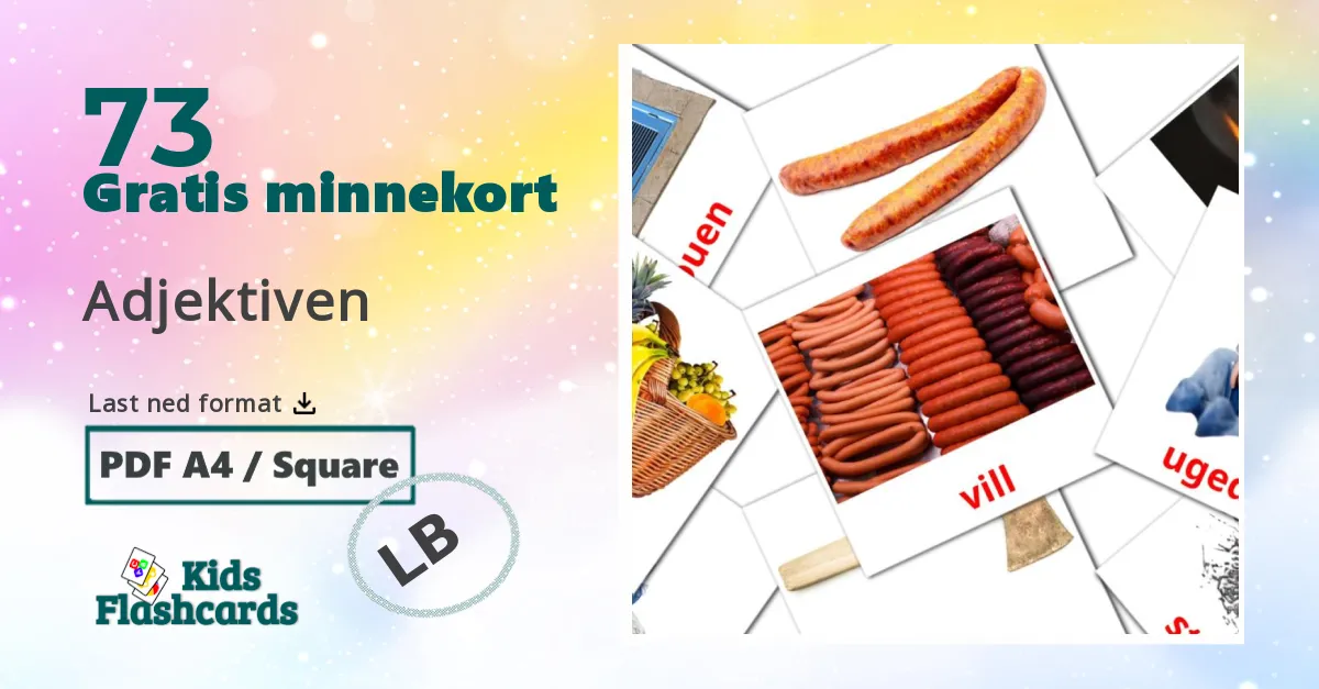 73 Adjektiven bildekort