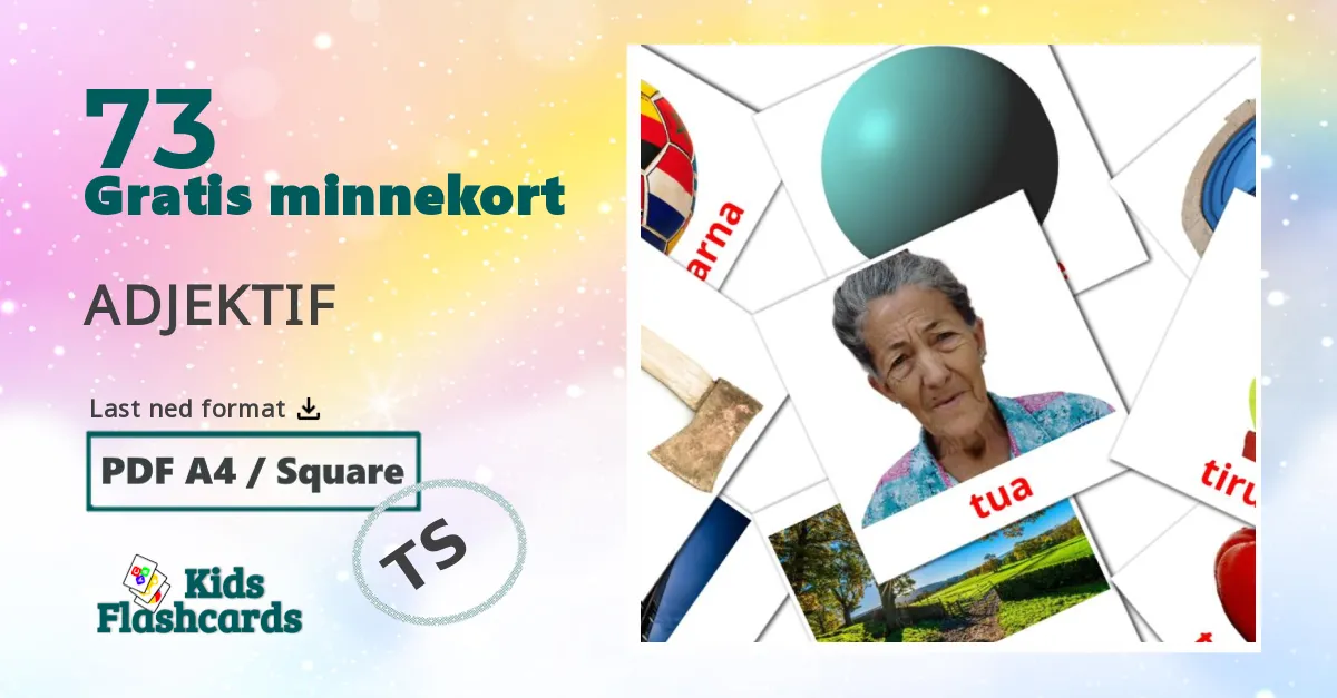 73 ADJEKTIF bildekort