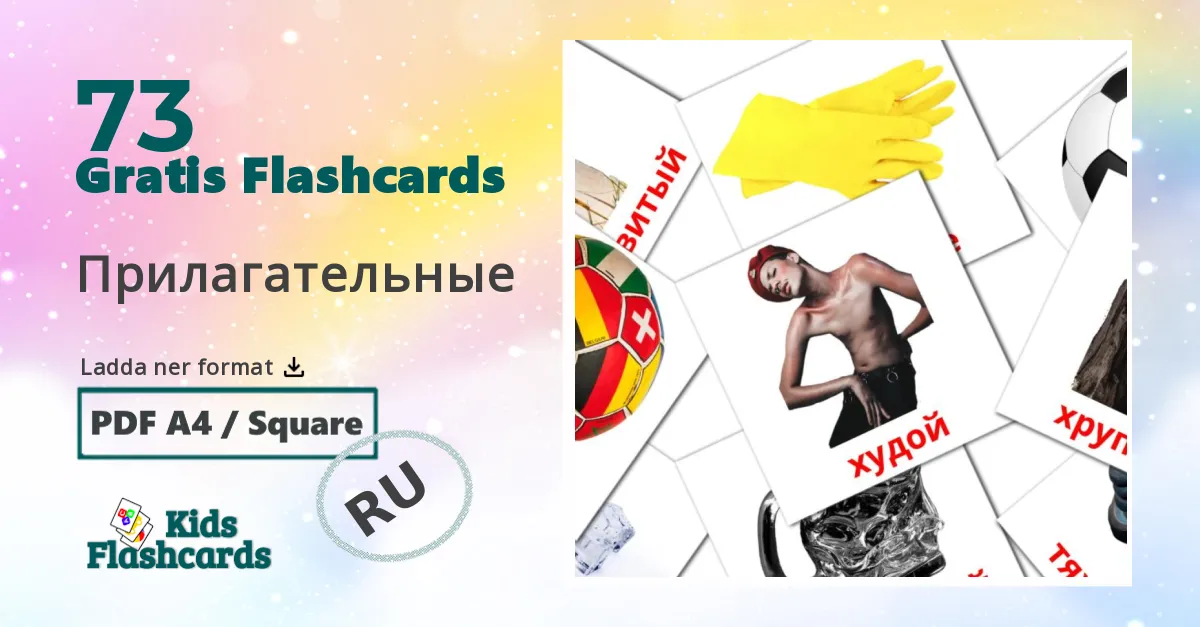 Прилагательные ryska ordkort