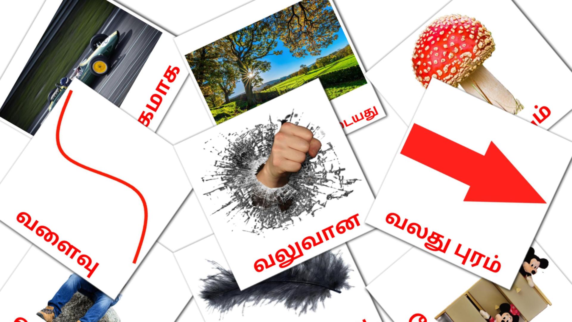 Tamilisch பெயரடைe Vokabelkarteikarten
