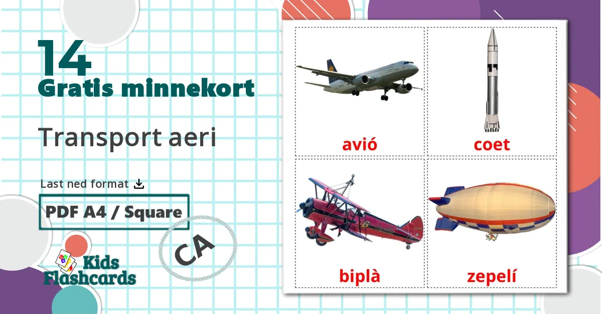 21 Fly billedkort for børn