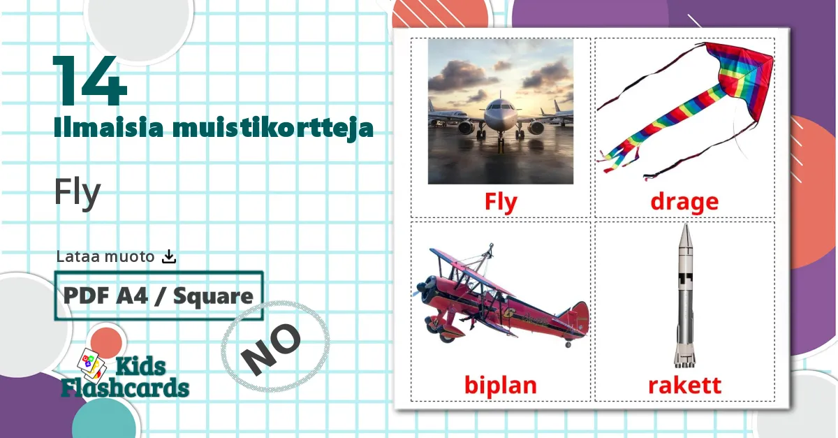 14 Fly lasten kuvakortit