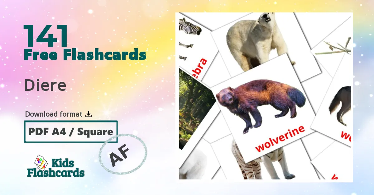 Animals flashcards