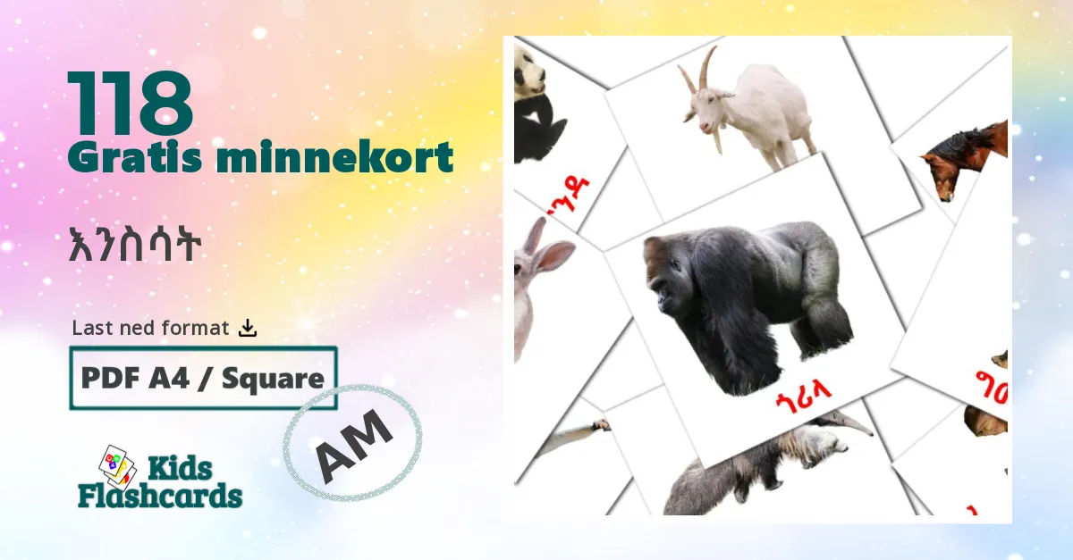 እንስሳት bildekort for barn på amharisk