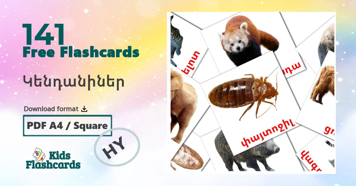 Animals flashcards