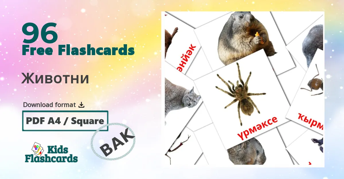 Животни bashkir vocabulary flashcards