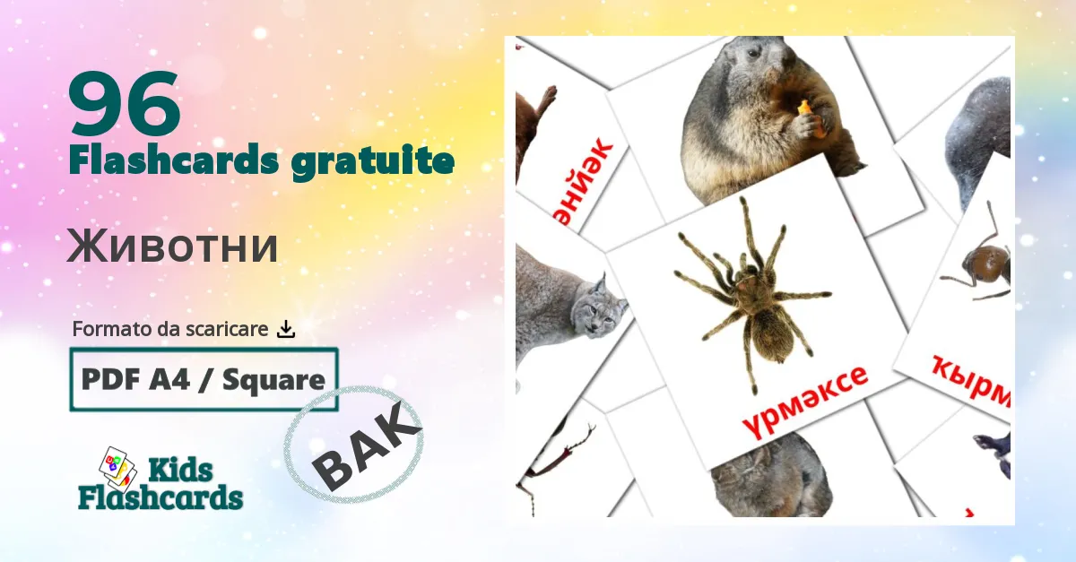 flashcards di Animali