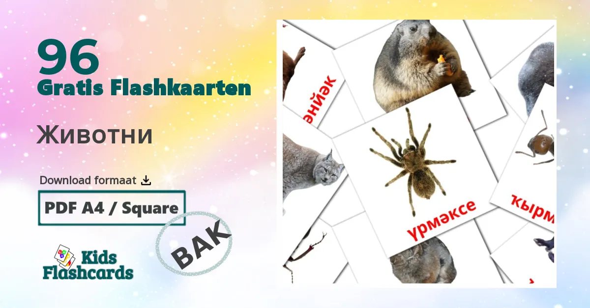 Животни bashkir woordenschat flashcards