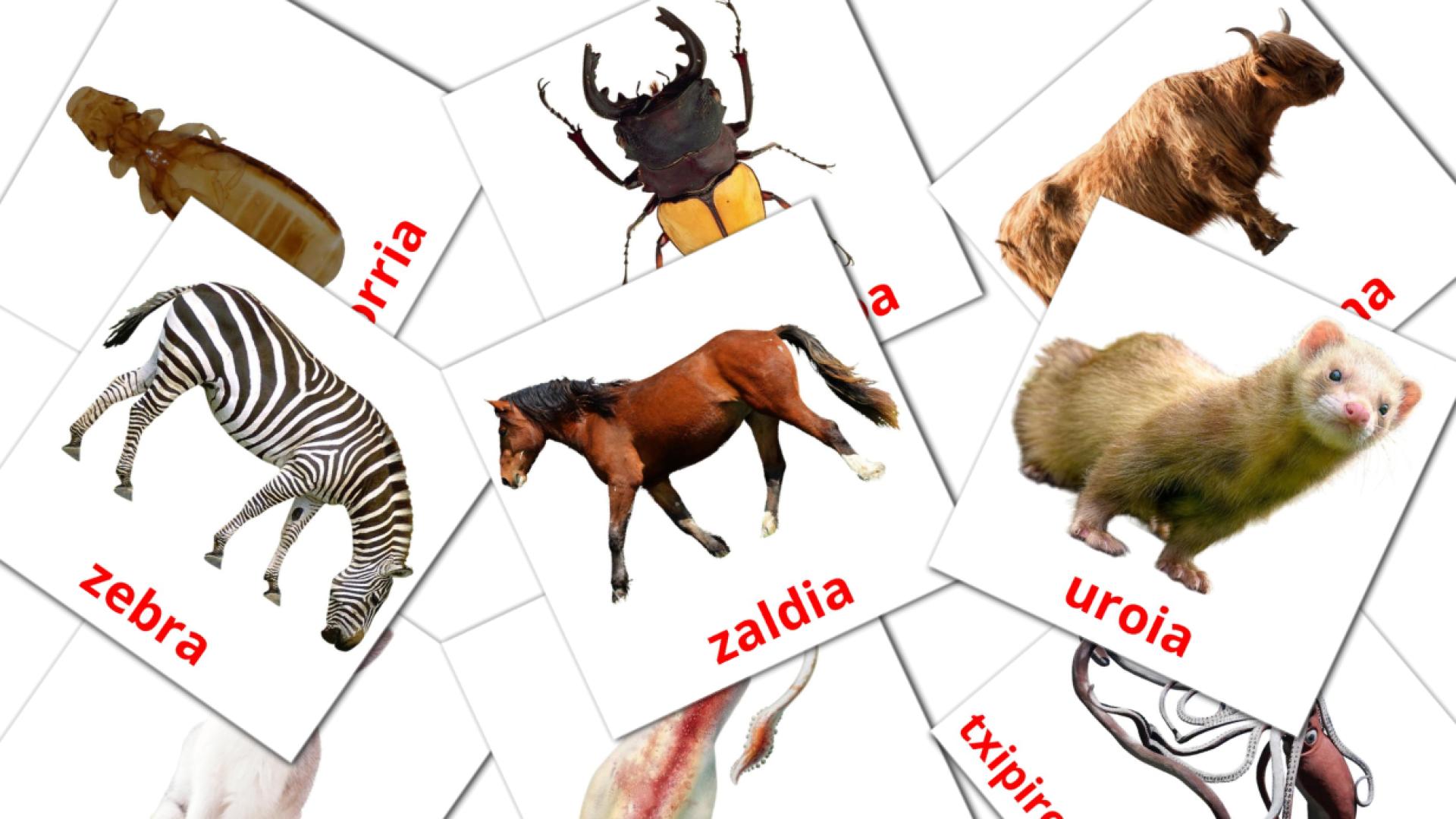 Baskische Animaliake Vokabelkarteikarten