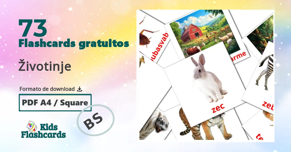 Flashcards de Animais