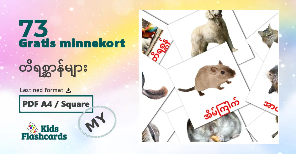 တိရစ္ဆာန်များ bildekort for barn på burmesisk