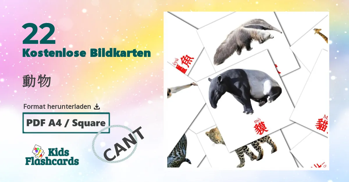 22 Bildkarten für 動物