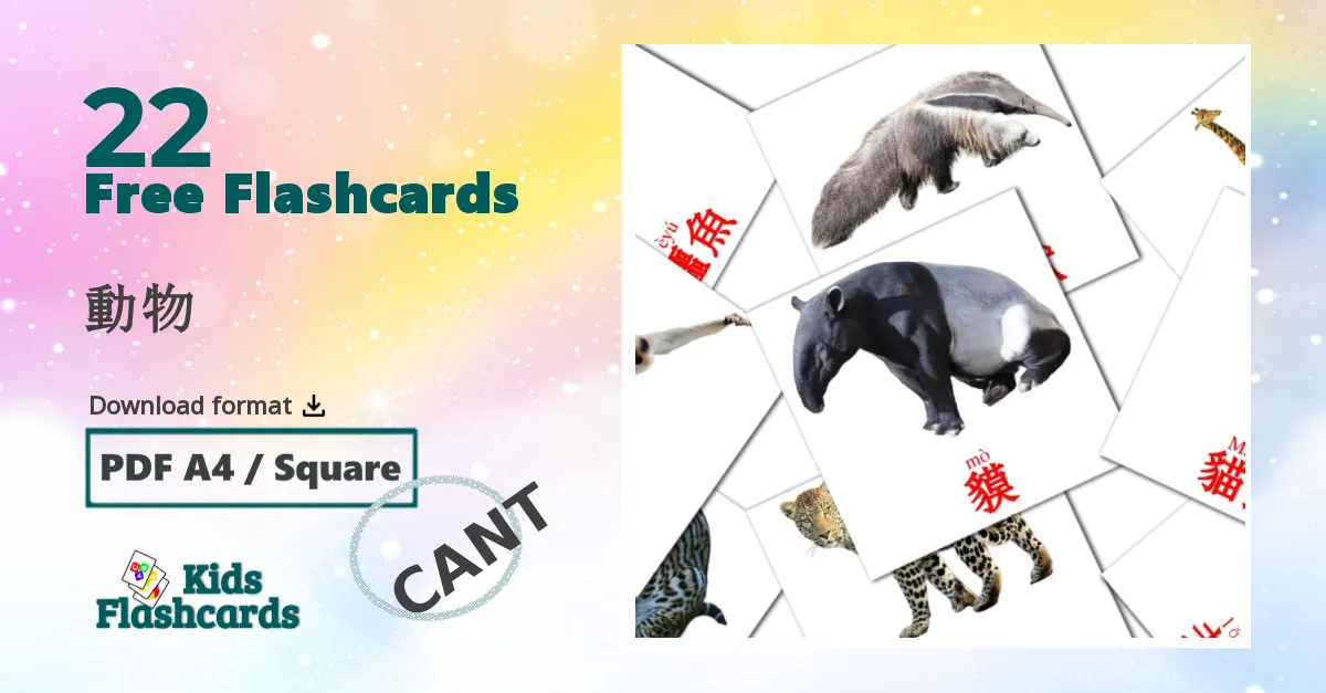 動物 cantonese(Colloquial) vocabulary flashcards