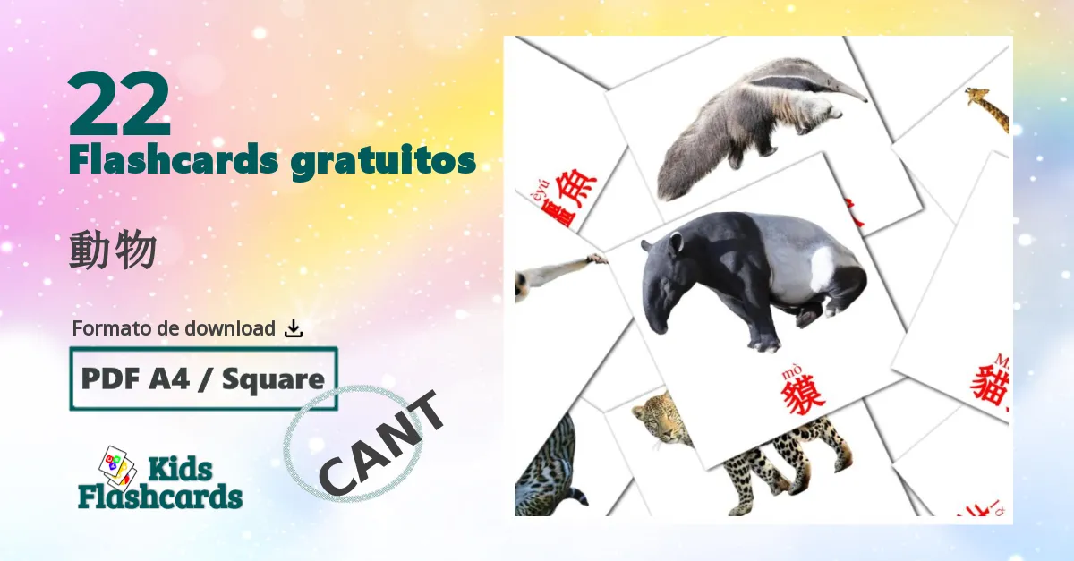 22 Flashcards de 動物