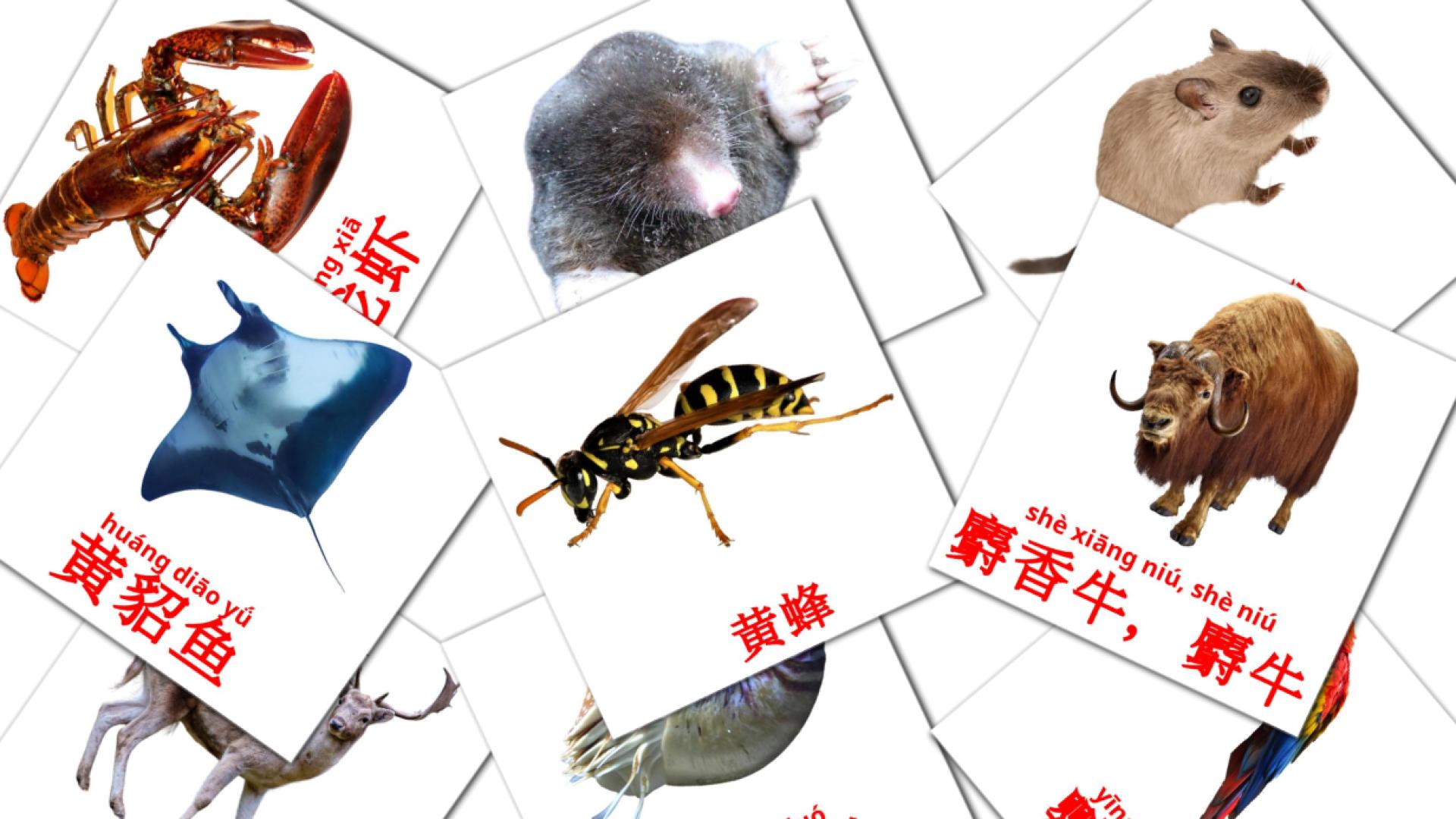 Fiches de vocabulaire chinois(simplifié)es sur 动物