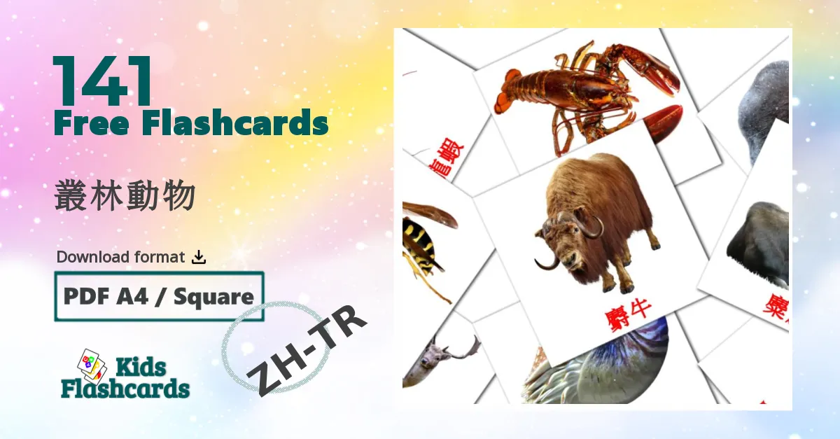 叢林動物 chinese(Traditional) vocabulary flashcards