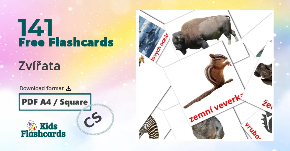 141 Zvířata flashcards