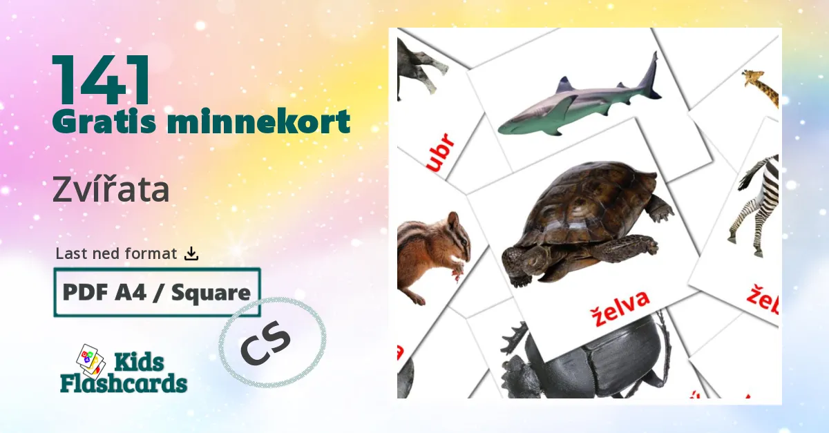Zvířata bildekort for barn på tsjekkisk