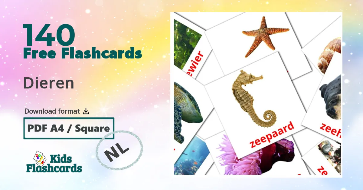 Dieren dutch vocabulary flashcards