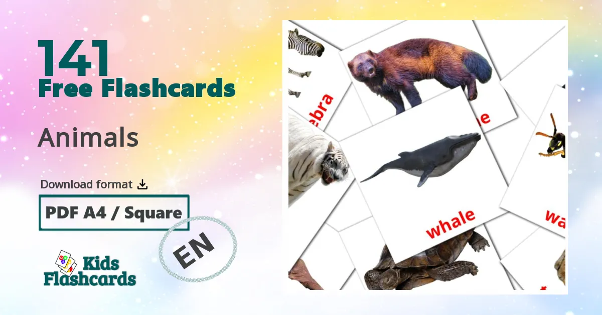 Animals Flashcards di vocabolario inglese