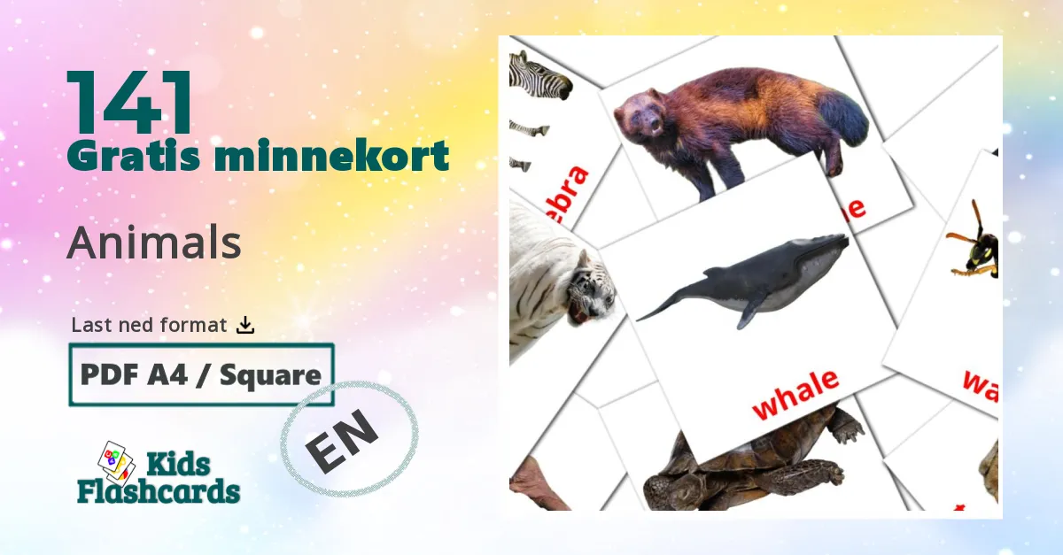 Animals bildekort for barn på engelsk