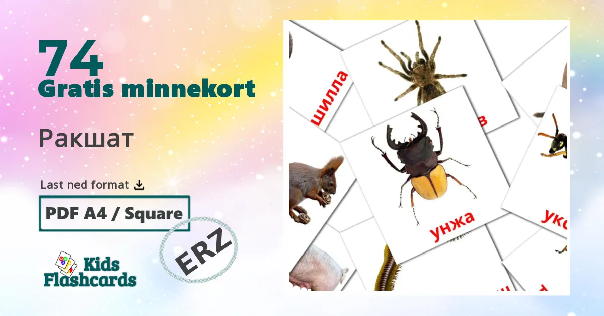 Ракшат bildekort for barn på erzya