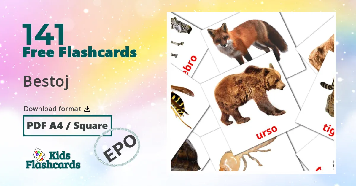 141 Bestoj flashcards