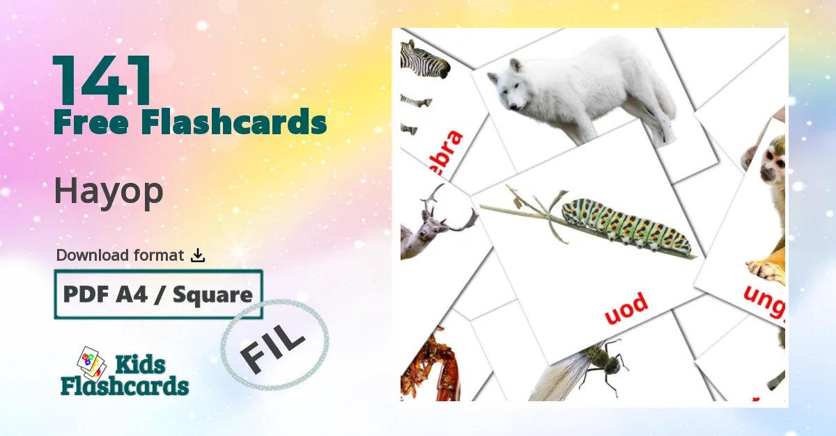 Animals flashcards