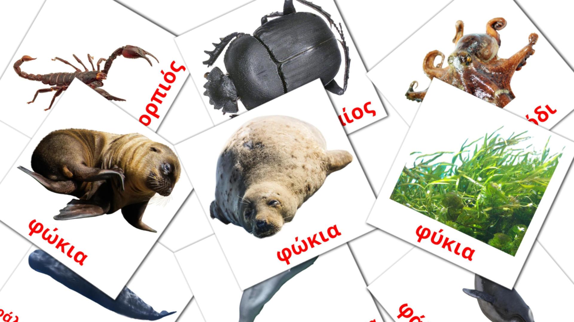 griego tarjetas de vocabulario en Των ζώων