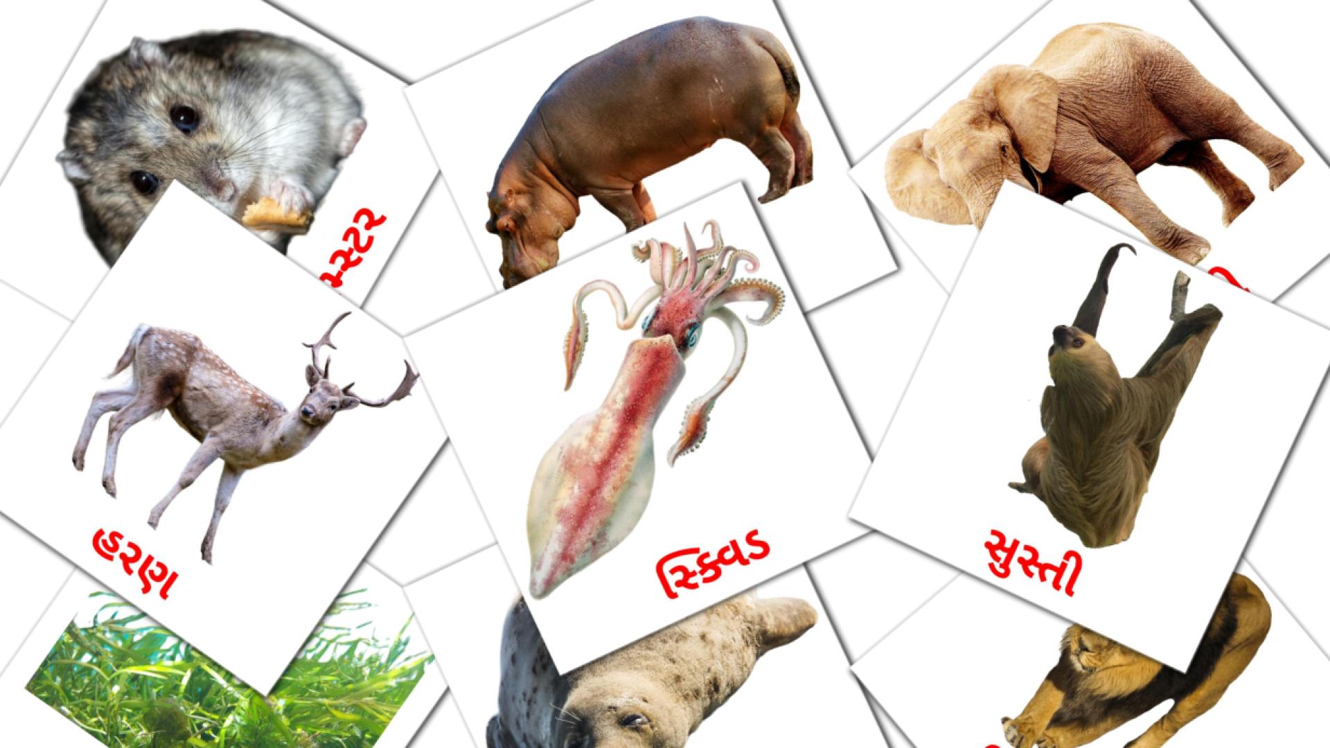 gujarati tarjetas de vocabulario en પ્રાણીઓ