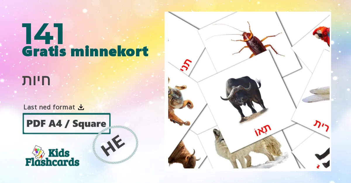 חיות bildekort for barn på hebraisk