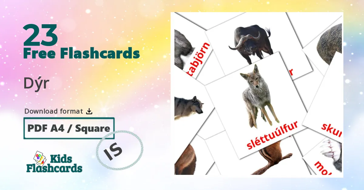 Animals flashcards