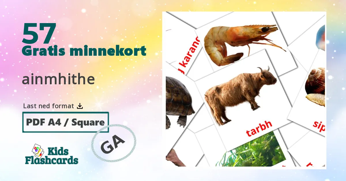 57 ainmhithe bildekort