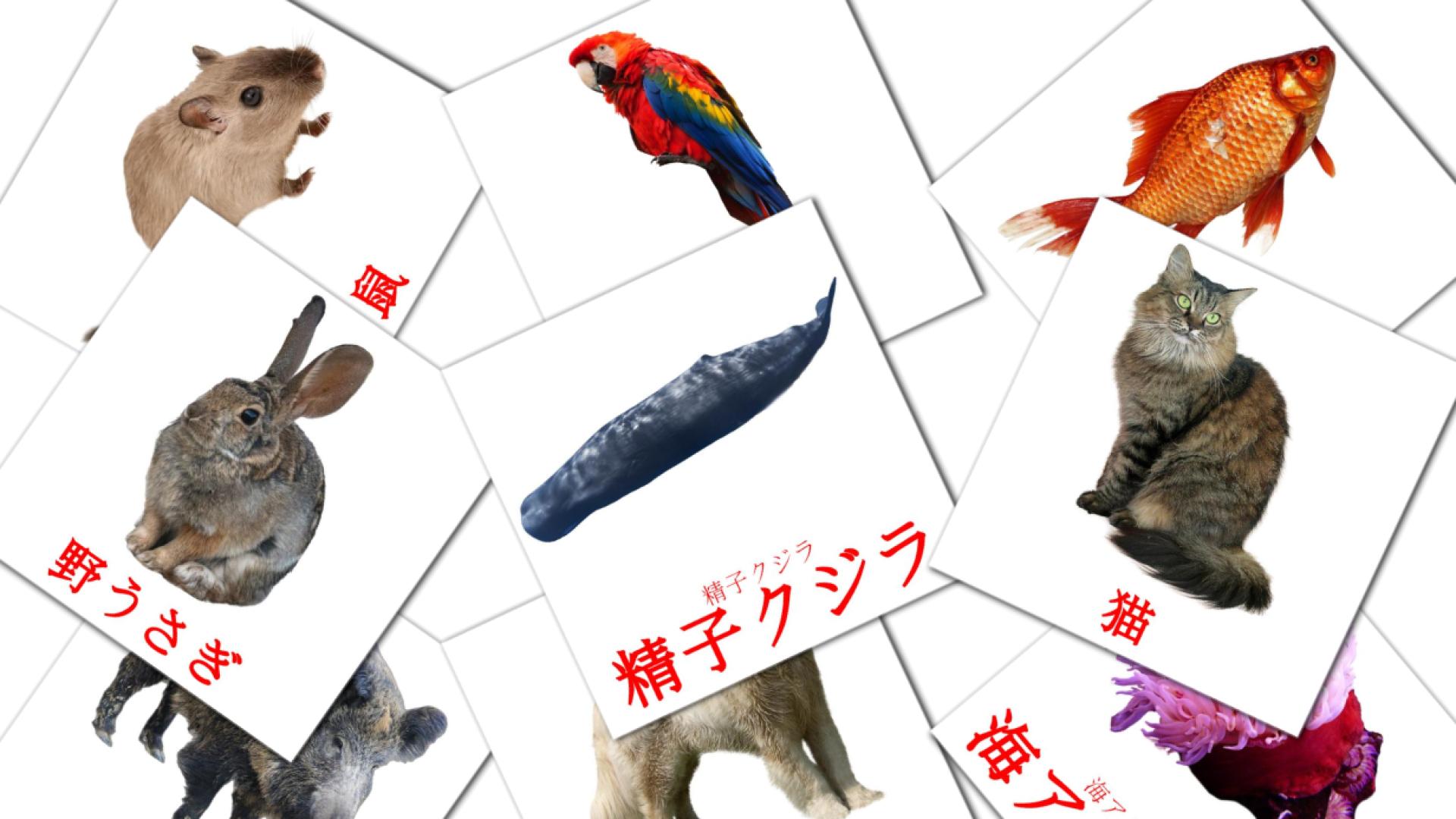 Fiches de vocabulaire japonaises sur 動物 - どうぶつ
