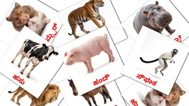 1300+ FREE Kannada Flashcards | PDF | Picture Vocabulary