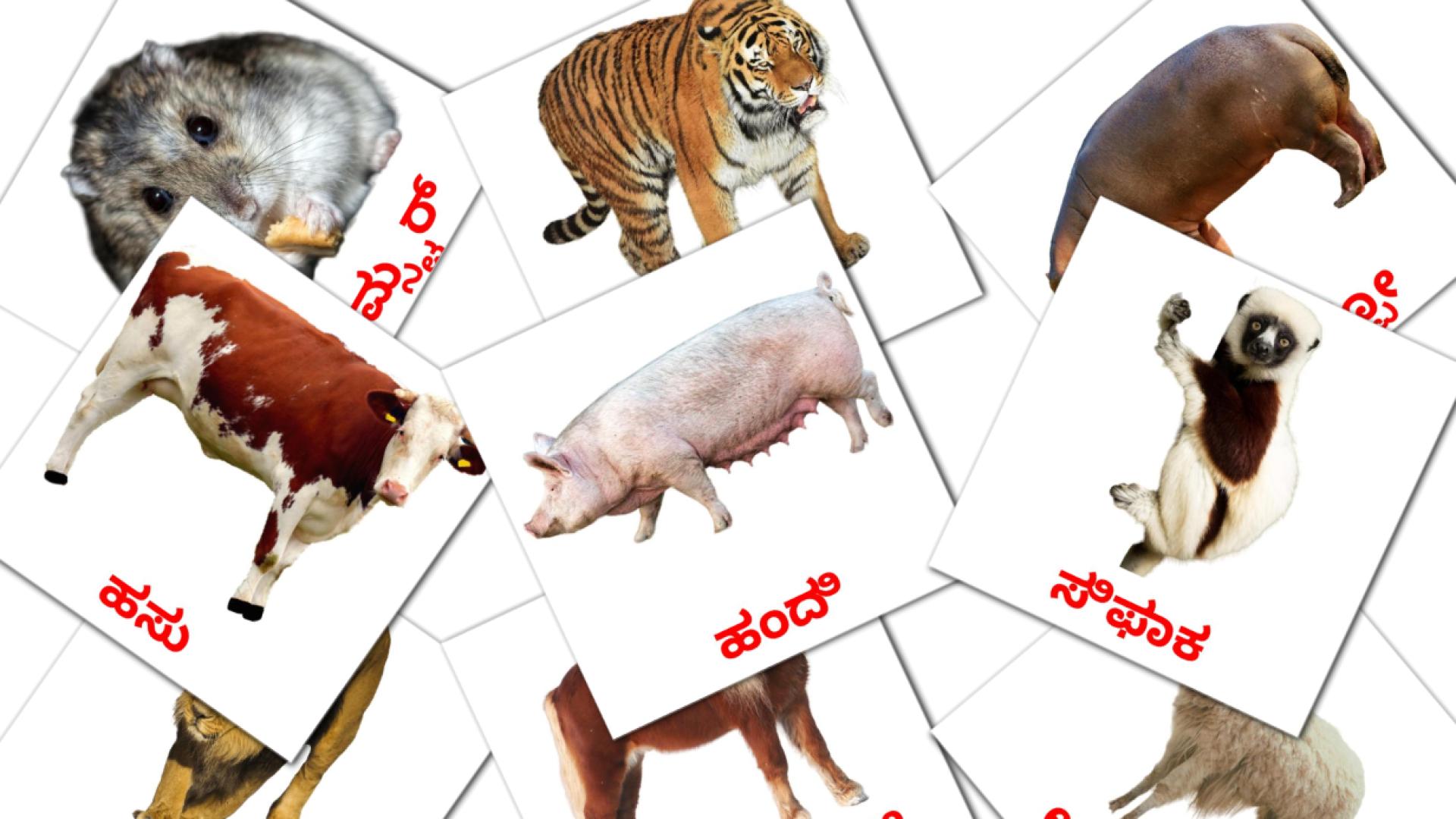 Карточки Домана  Animals на каннада языке