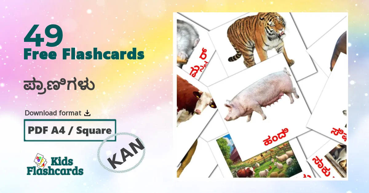 Animals flashcards