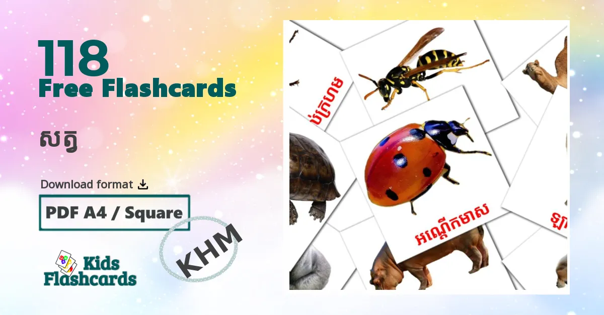 Animals flashcards