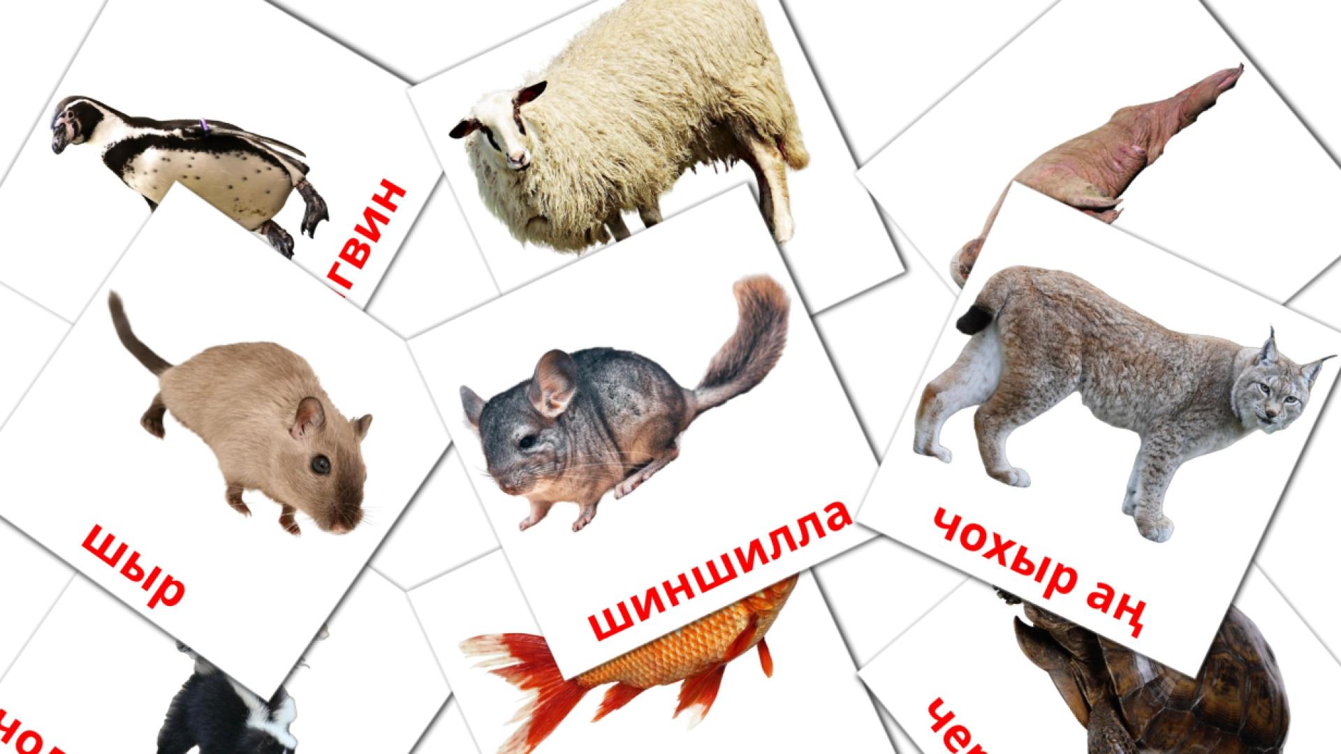 пемöсъяс komi vocabulary flashcards