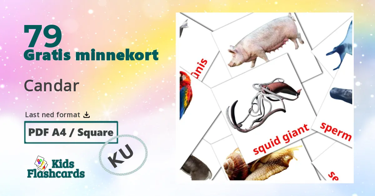 Candar bildekort for barn på kurdisk(kurmanj)